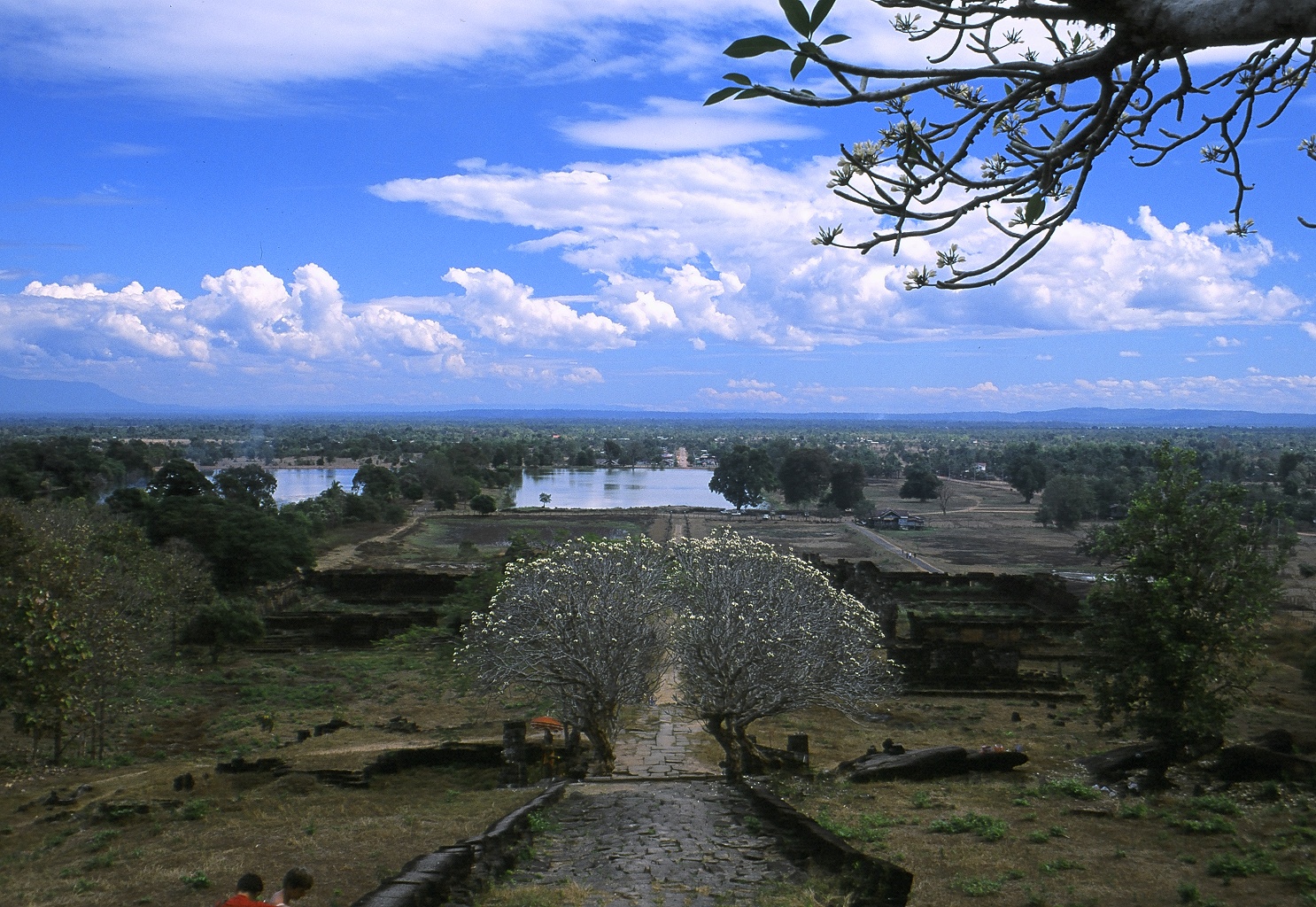 View From The Top