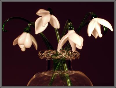 u42/seebee/medium/27374522.P3283038Snowdrops.jpg