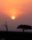 Masi Mara Sunrise