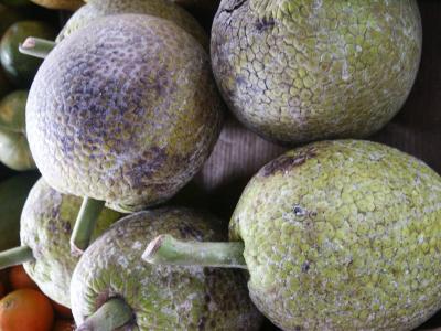 Mature Breadfruit