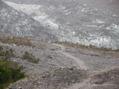 Fox Glacier head on