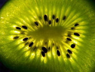 A Wee bit of Kiwi