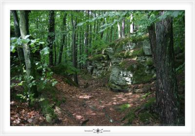 MULLERTHAL  0005.jpg