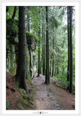 MULLERTHAL  0006.jpg