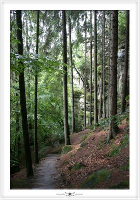 u42/servoshot/medium/39646177.MULLERTHAL0007.jpg