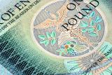 One Pound Note
