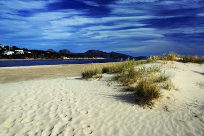 Dunes at The Hazards, eastern Tasmania