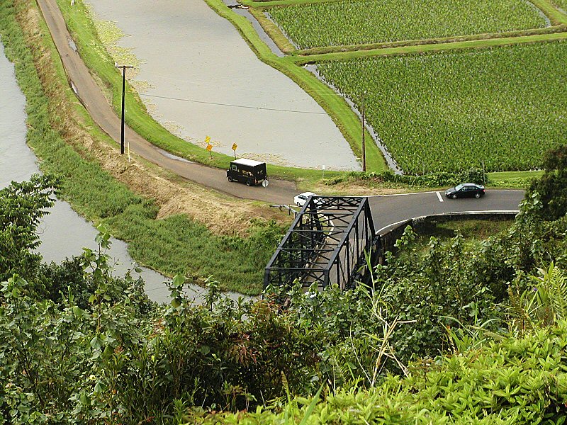 Birds eye view of taro fields and the one-lane bridge to Hanalei