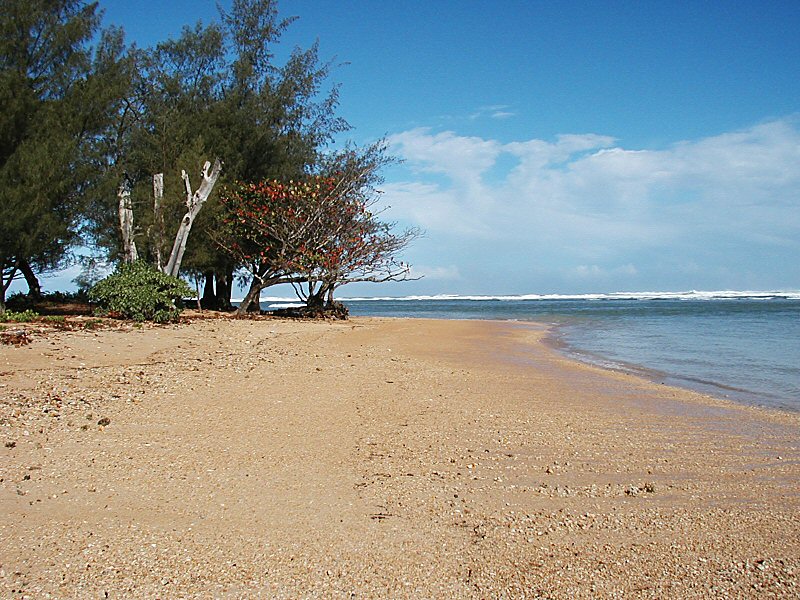 Anini Beach