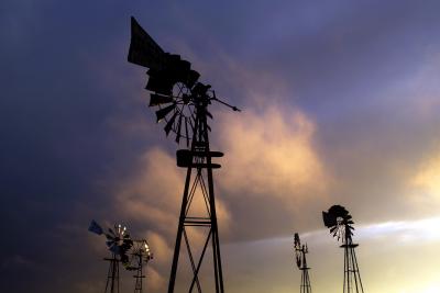 Windmill Farm at Sunset