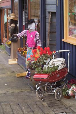 Flower Shop with a scarecrow
