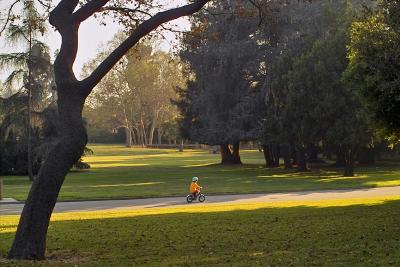 Ride in the Park