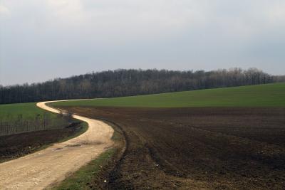 Fields near Szomor, Hungary