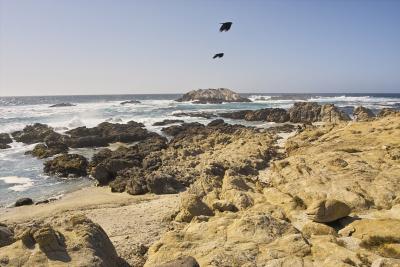 Seal Rock view II