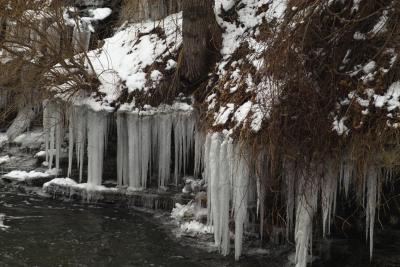 Icicles by the Brook on the First Day of Spring