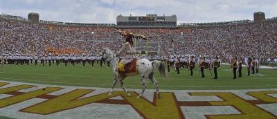 Chief Osceola Surveys the Field