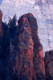 Zion Morning Light