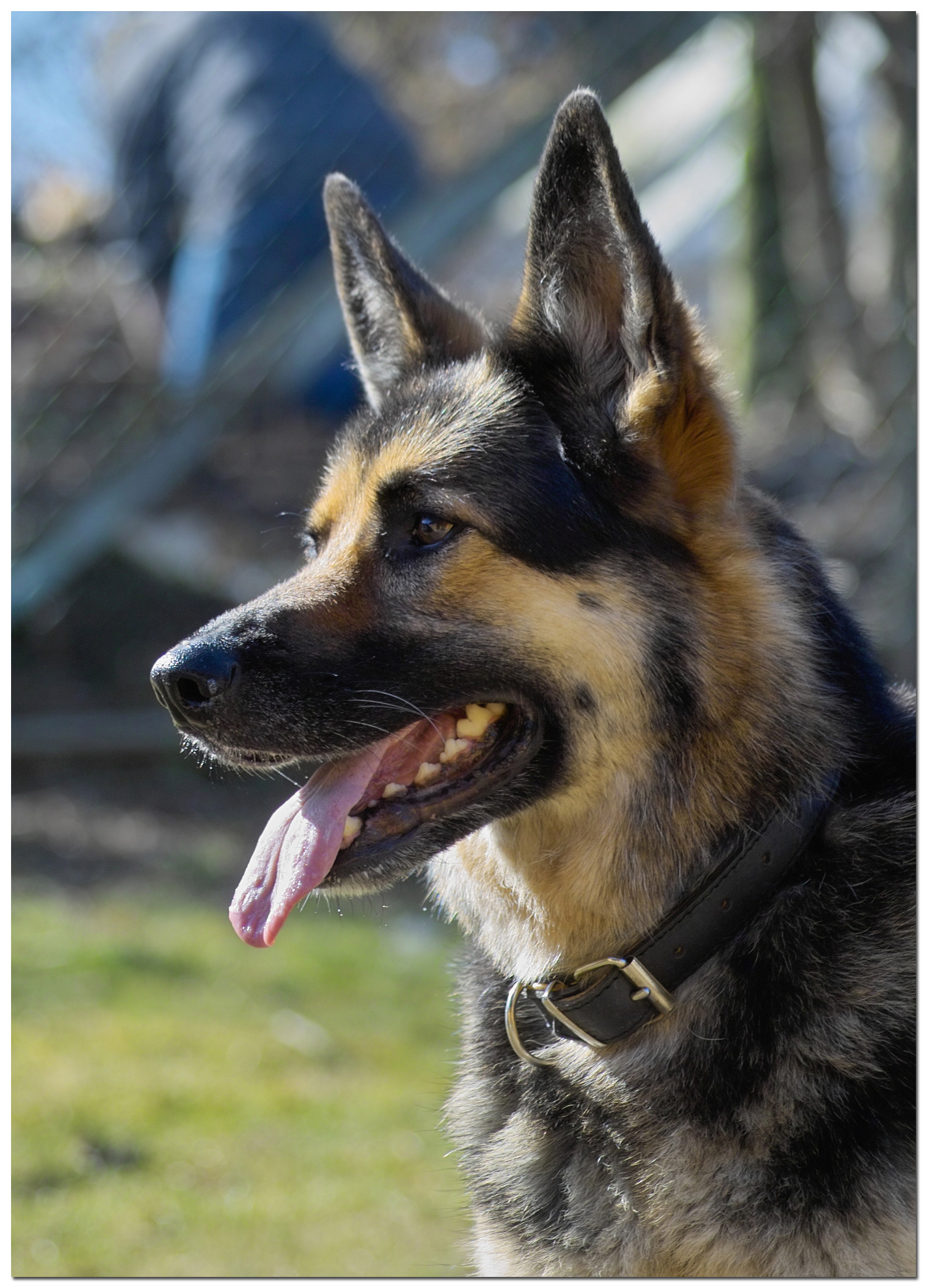 Our Best Friend