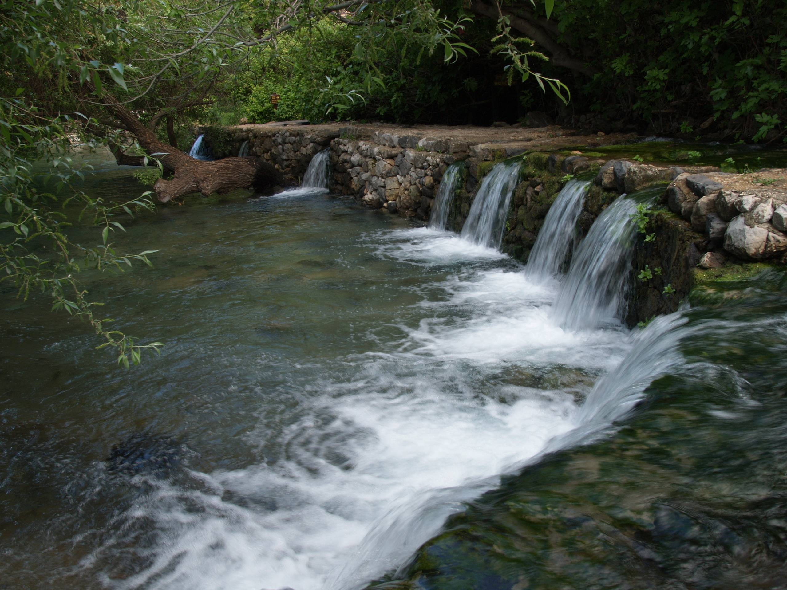 Banias springs P4040804web.jpg