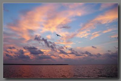 u42/smms/medium/39681607.sunrise_over_bsl.jpg