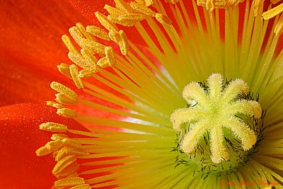 CRW_0062_RT8.jpg