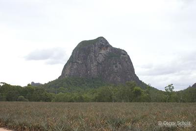 Mt Tibrogargan