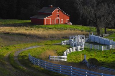 afternoon lite, red barn