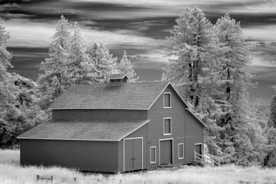 deer feeding, red barn