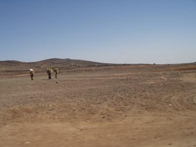 The women seem to do all the work in Yemen