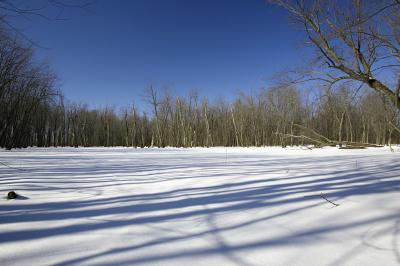 IMG_007216.jpg