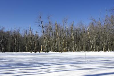 IMG_007220.jpg