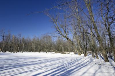 IMG_007221.jpg