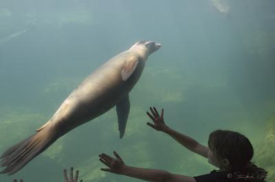 2570 At The Aquarium of the Pacific