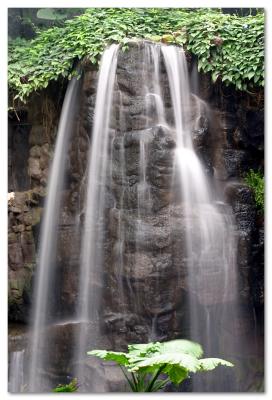 Waterfall in the Lied Jungle