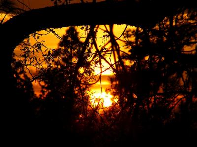 u42/stevearenoo/medium/27557573.FireSky.jpg
