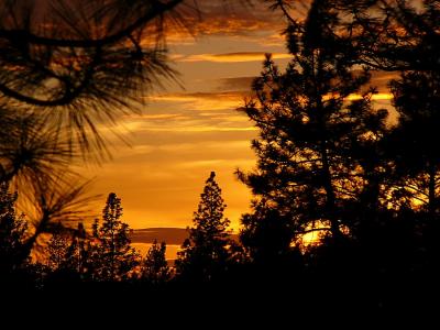 u42/stevearenoo/medium/27583539.Sunset2.jpg