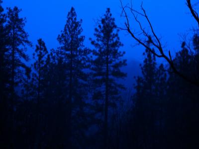 Blue Dusk (Feb 13th)