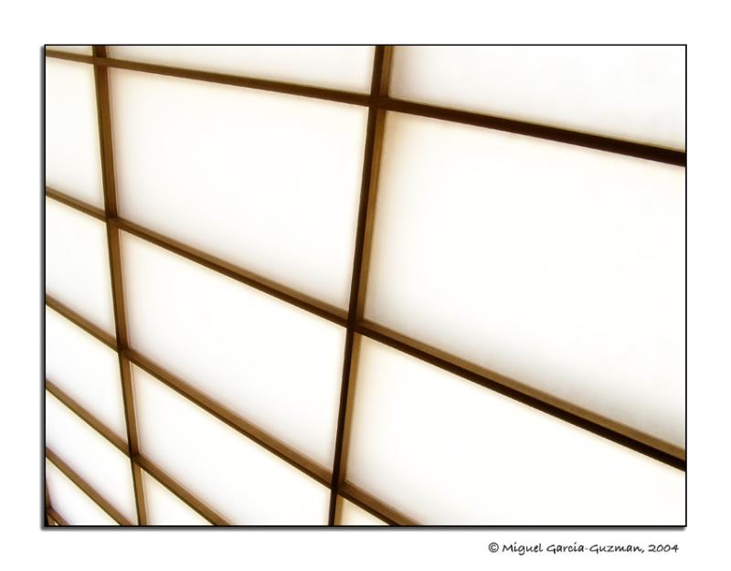 <b>Glowing Perspective*</b><br>by Miguel Garcia-Guzman
