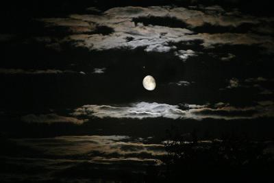 Moonlit NightAnn Chaikin
