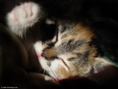 Touched by the sunby Kostya