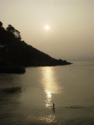 The Sea, The Sun, The Shore and a BirdGarry Platt