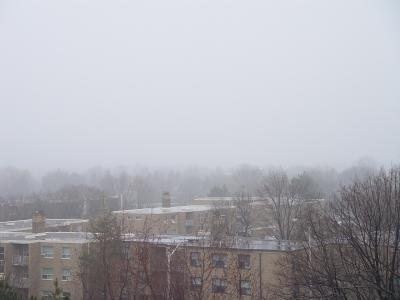 Morning Fog*by 555 SWRT