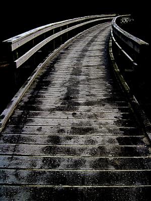 Night Pathby karen gus