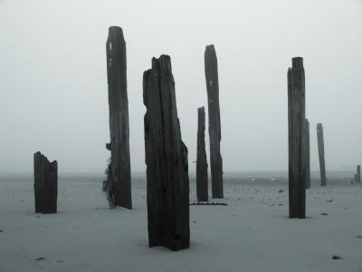 Still Standingby Steve Cheetham