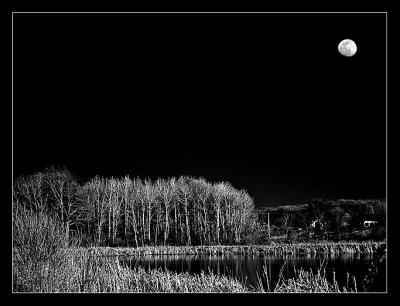 infrared marsh by Katherine Kenison