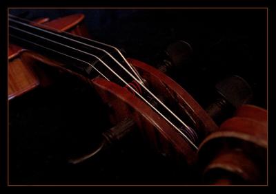 violin by Katherine Kenison