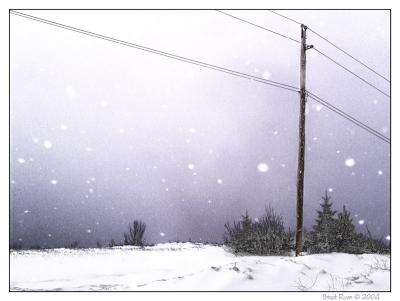 April SnowStorm  ( * ) by Bee