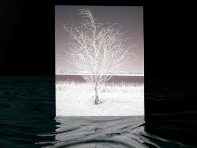 10th Place: High Key & Low Key by Mike Klemmer