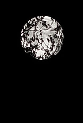 Today's Moonby West of Cary