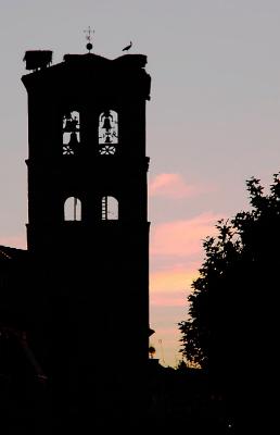 The Bell Tower  & The stork:: Sample - not for voting ::